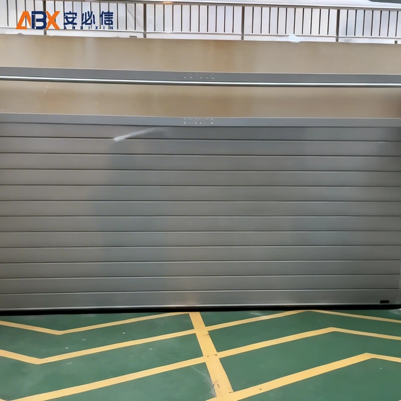 湛江市感应高速门